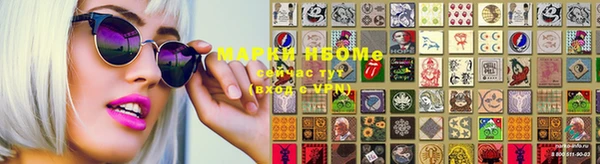 гашик Касимов
